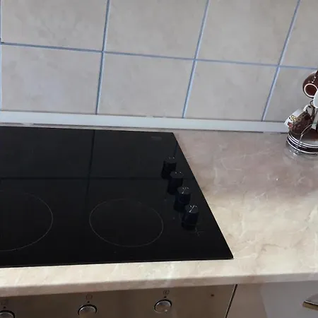 Apartments Holiday Apartmán Vranje