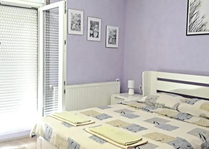 Apartments Holiday 아파트 브라네