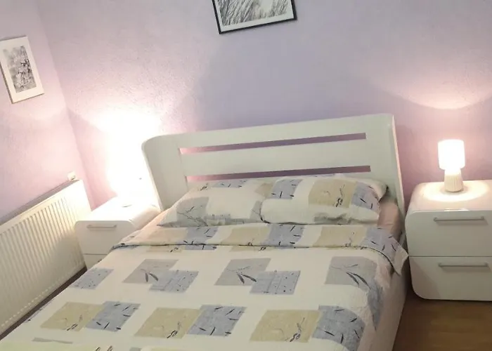 Apartments Holiday 아파트 브라네