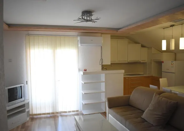 Apartments Holiday 브라네