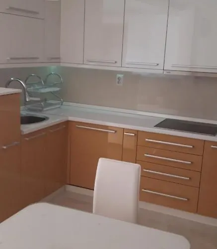 Apartments Holiday * 브라네