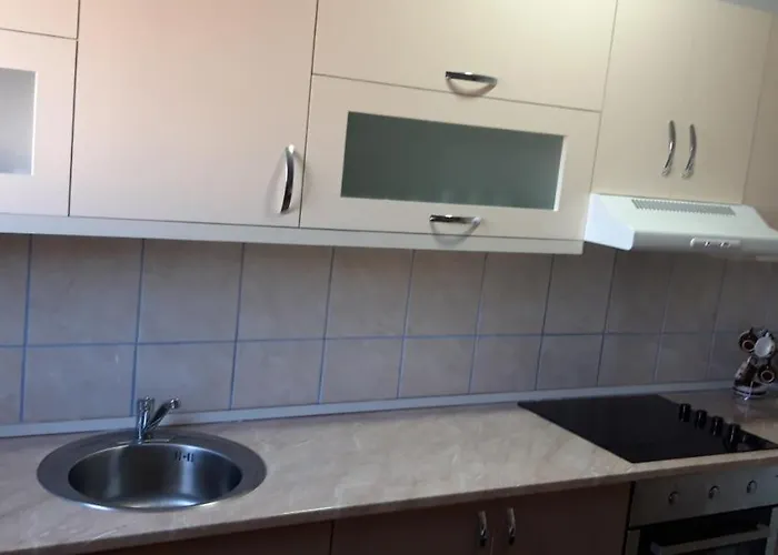 Apartments Holiday * 브라네