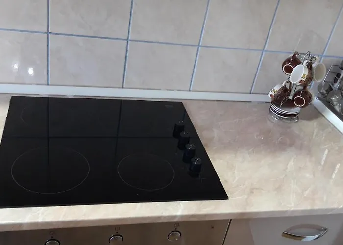 Apartments Holiday 아파트 브라네